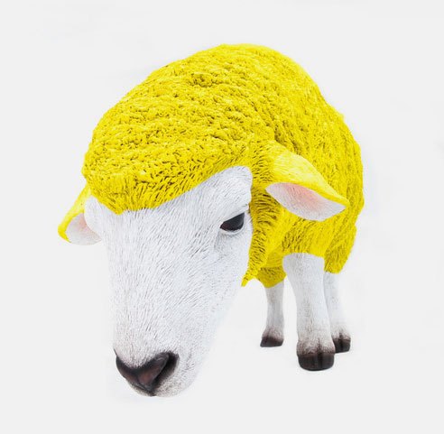 Eweneek sheep